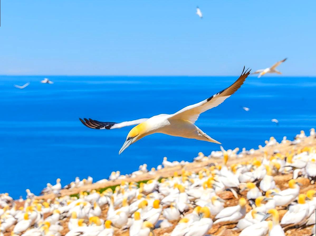 design2photo | Yambuk Lake: Coastal Lake and Birdwatching