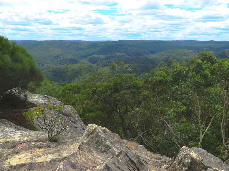 design2photo | Bowens Creek: The natural beauty of Bowens Creek.