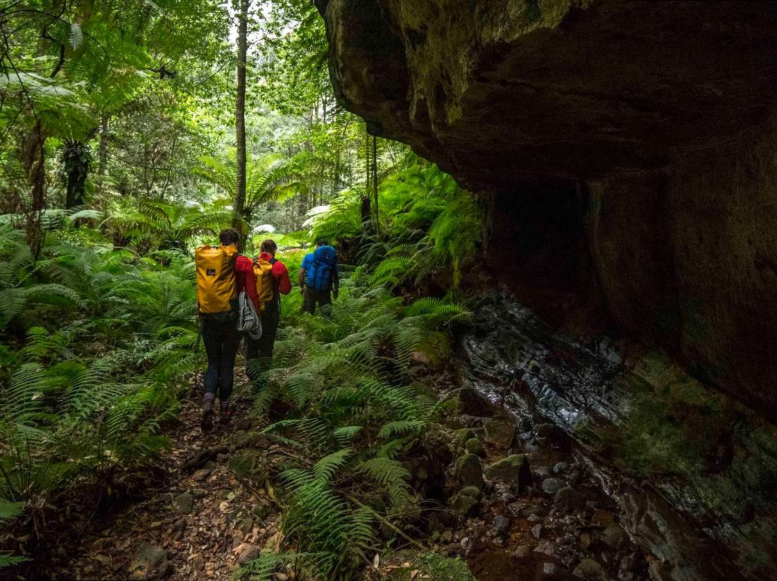 design2photo | Bowens Creek: The natural beauty of Bowens Creek.