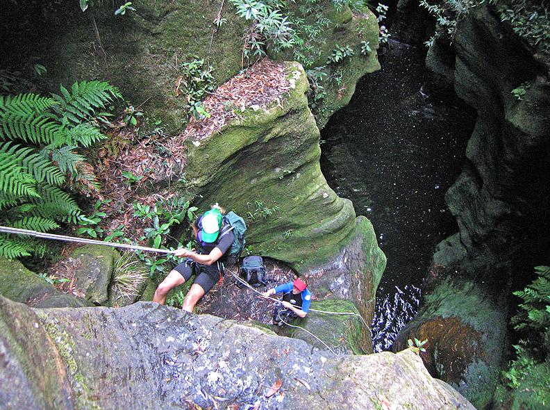 design2photo | Bowens Creek: The natural beauty of Bowens Creek.