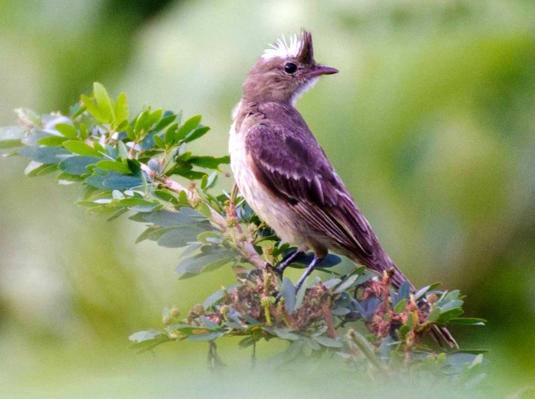 design2photo | Yambuk Lake: Coastal Lake and Birdwatching