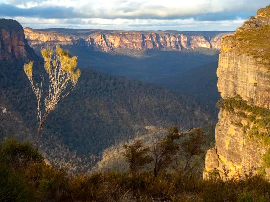 design2photo | Walls Lookout: Stunning views from Walls Lookout.