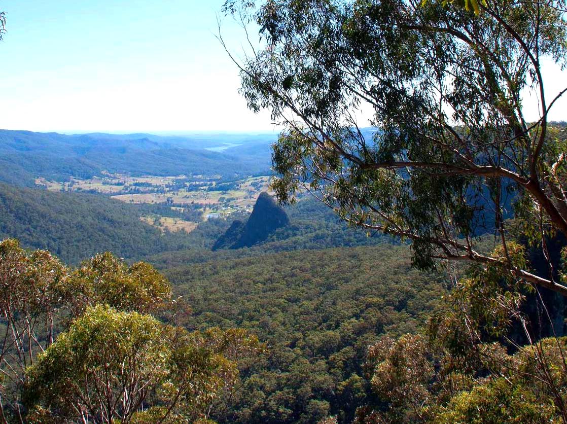 design2photo | Bellbird Lookout: Birdwatching and views from Bellbird Lookout.