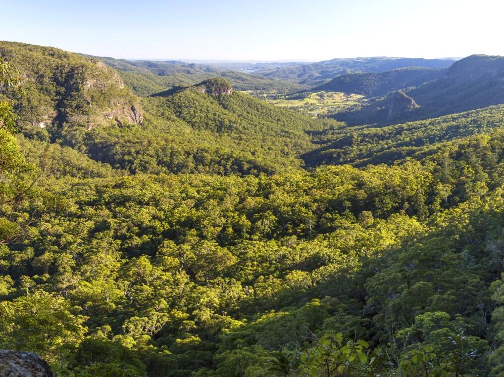 design2photo | Bellbird Lookout: Birdwatching and views from Bellbird Lookout.