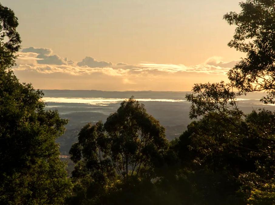 design2photo | Bellbird Lookout: Birdwatching and views from Bellbird Lookout.