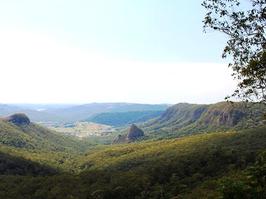 design2photo | Bellbird Lookout: Birdwatching and views from Bellbird Lookout.