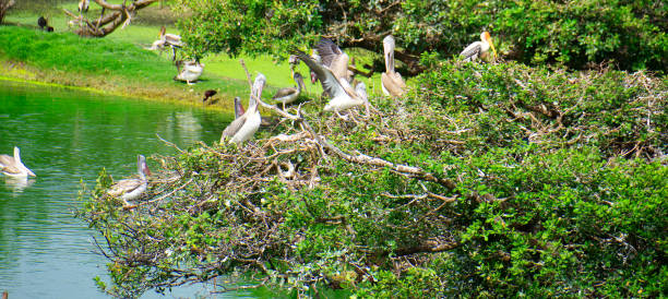 design2photo | Australia’s Best National Parks for Wildlife Enthusiasts