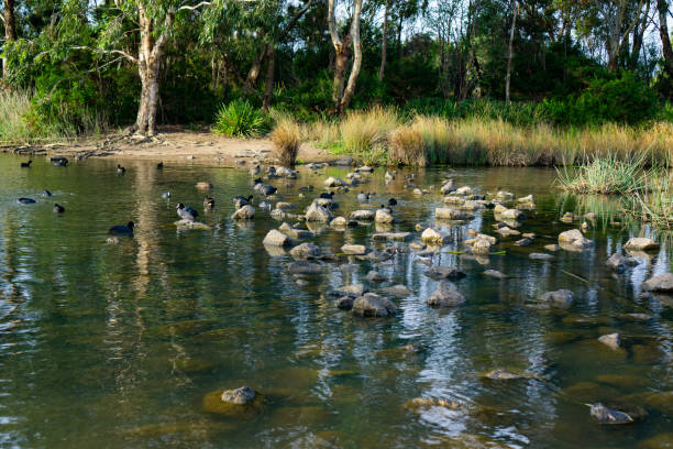 design2photo | Australia’s Best National Parks for Wildlife Enthusiasts