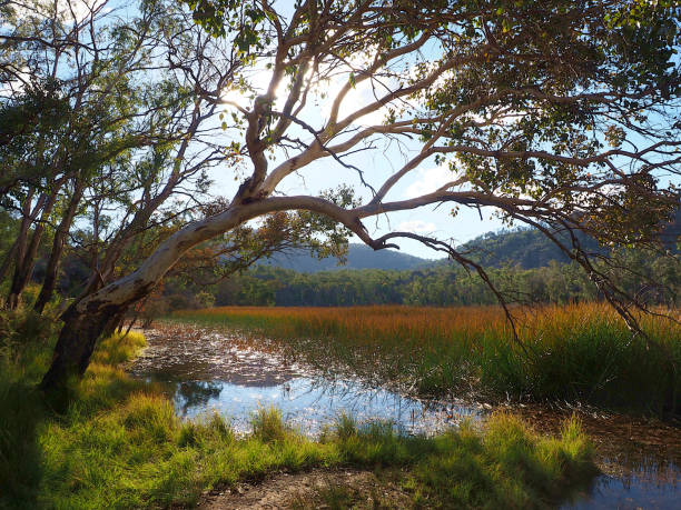 design2photo | Australia’s Best National Parks for Wildlife Enthusiasts